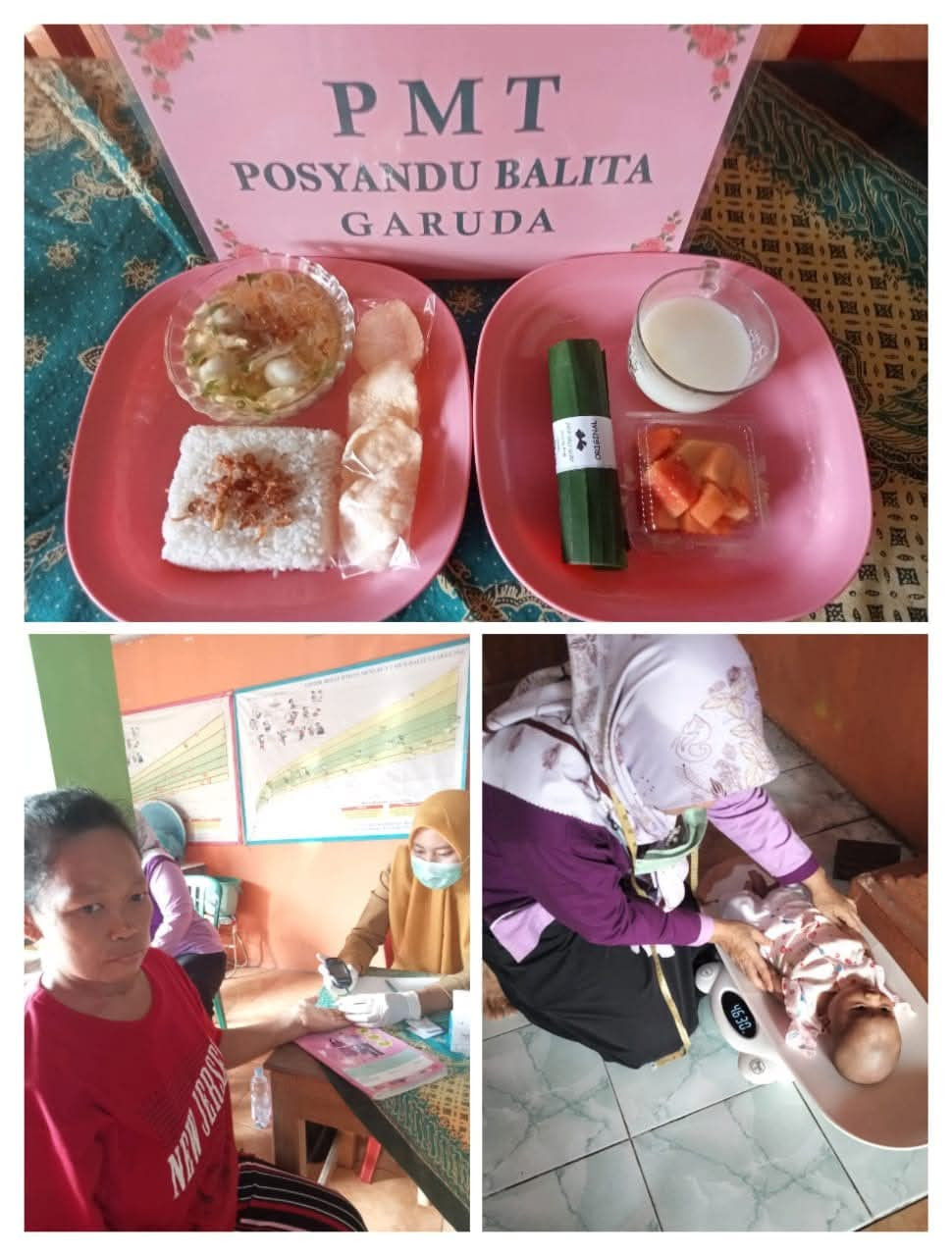 Pelaksanaan posyandu semesta garuda