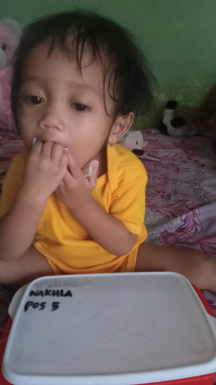 PMT UNTUK BADUTA DAN BALITA BB KURANG DAN GIZI KURANG