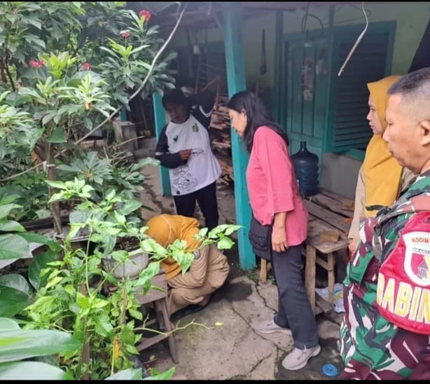 PELAKSANAAN GERAKAN PEMBERANTASAN SARANG NYAMUK 3 M PLUS