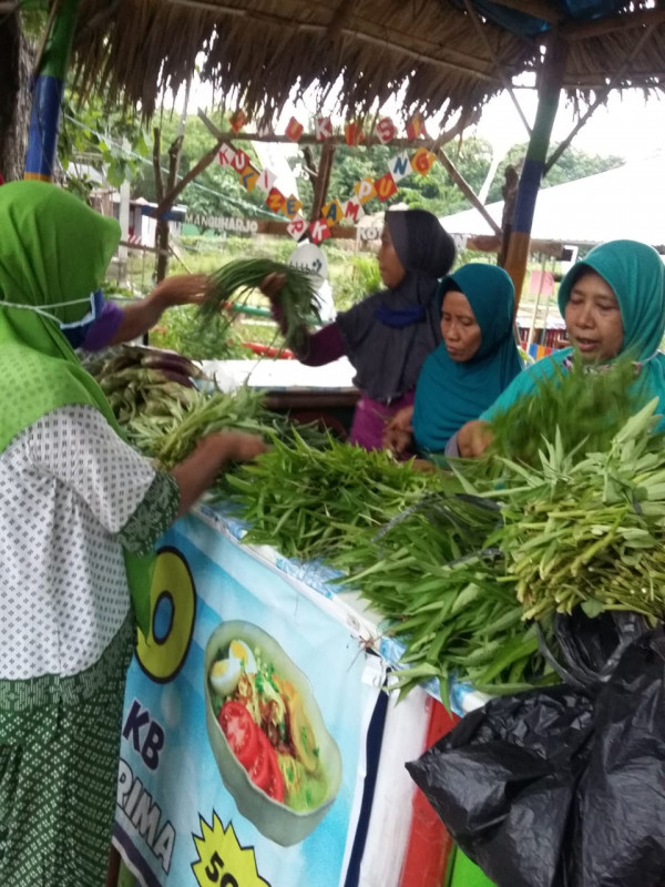 Memanen kangkung dan memasarkannya