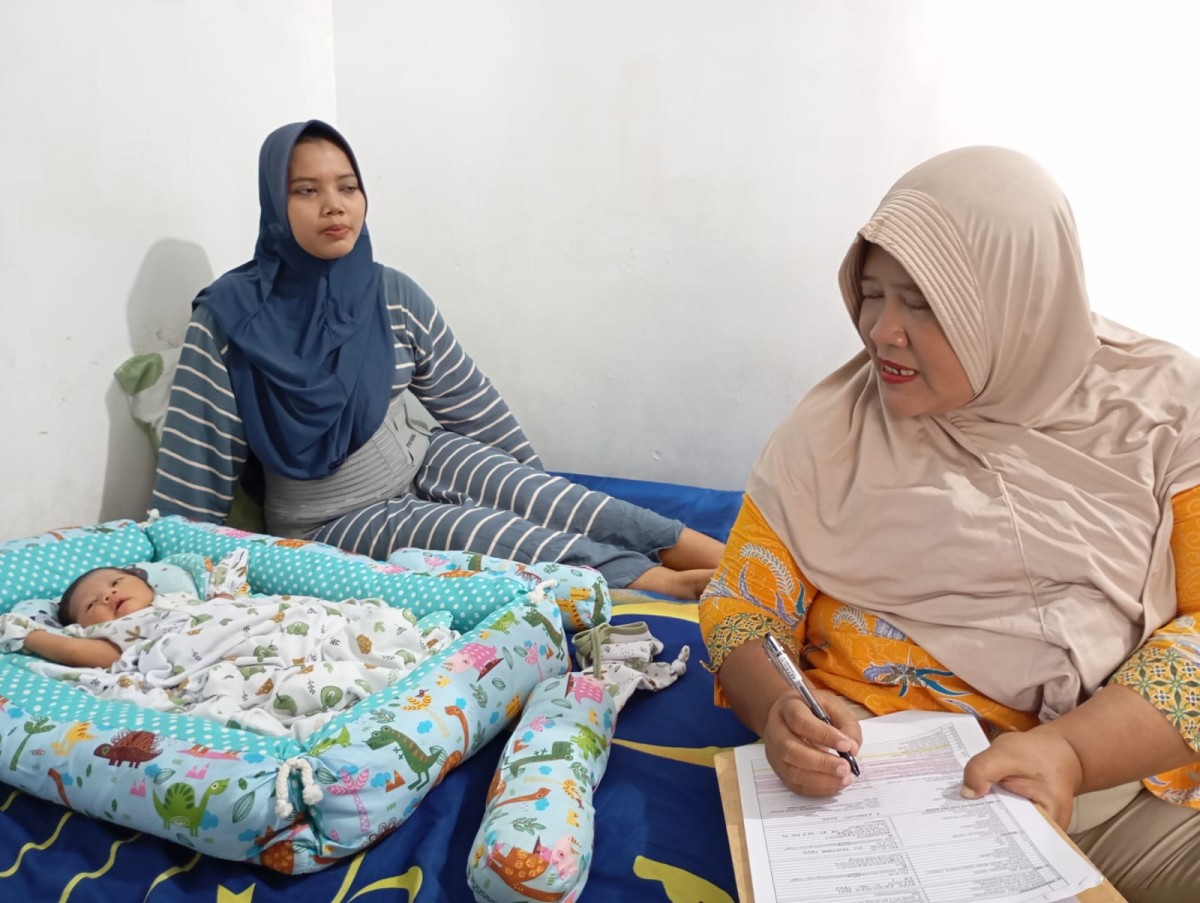 Pendataan Ibu Pasca Persalinan dan Bayi Lahir