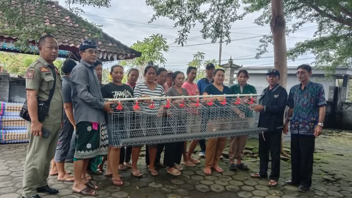 penyerahan bantuan ternak ayam petelur