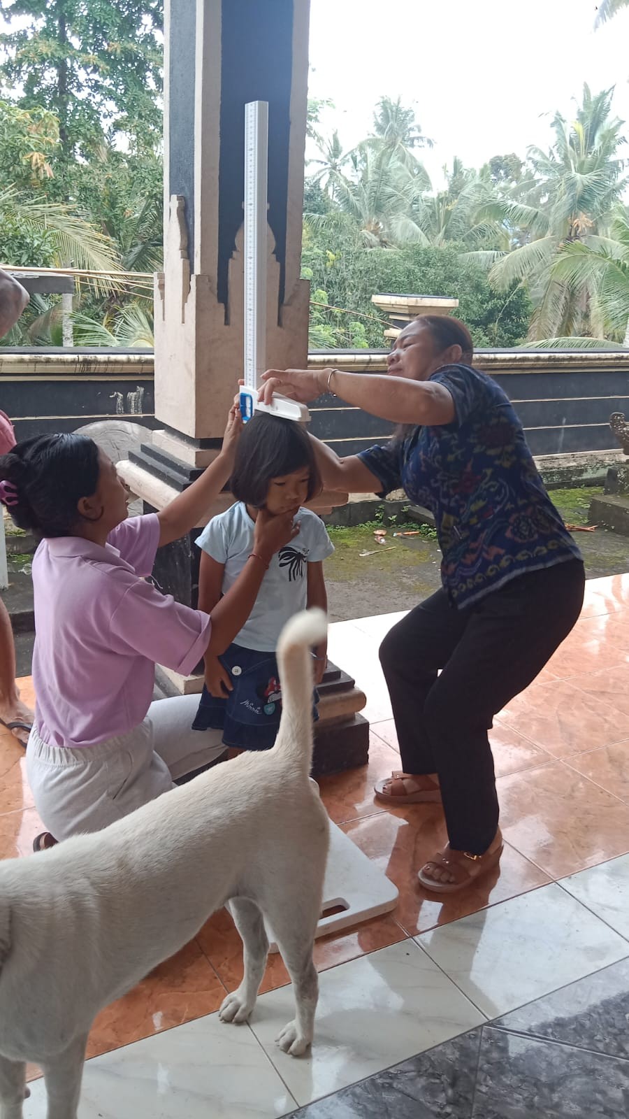 pengukuran tinggi badan baduta