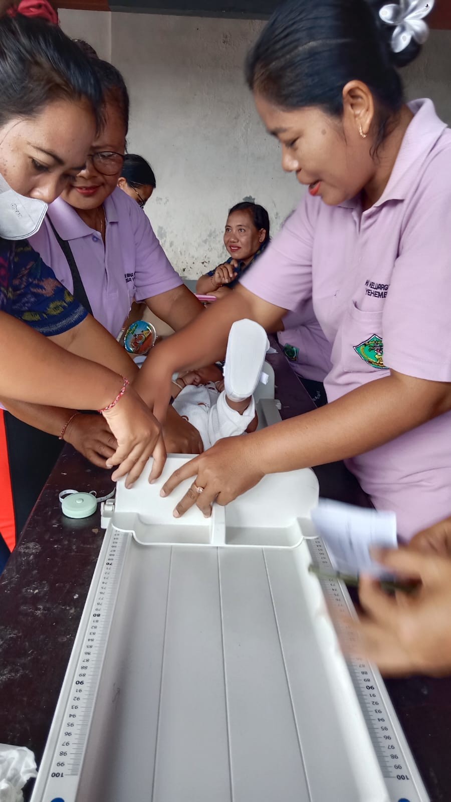 Posyandu BKB Putra Linuih