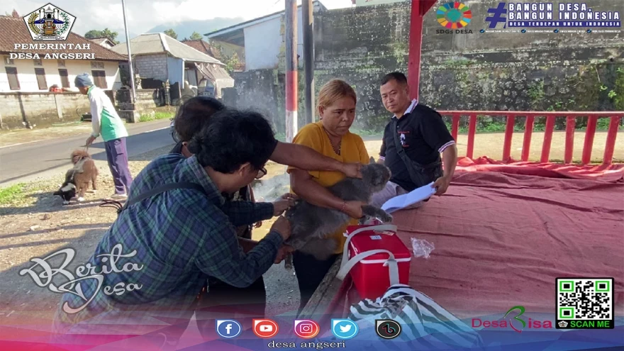 Pelaksanaan Vaksinasi Rabies di Desa Angseri, Peran Krusial dalam Pencegahan dan Pengendalian Rabies