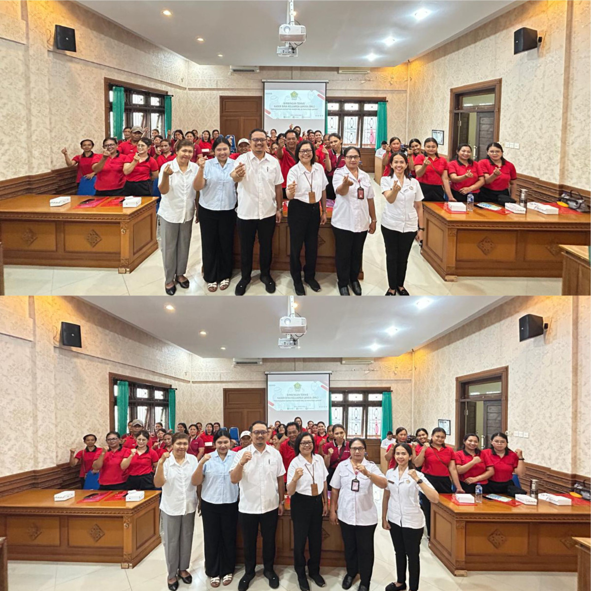 Peningkatan Kapasitas Kader Lansia