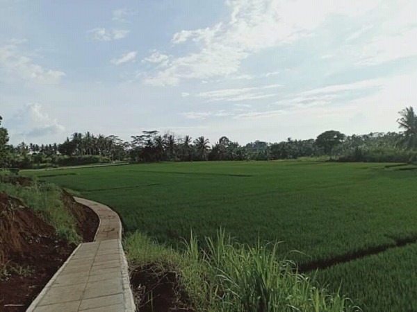 Wisata tracking sudah rampung 100% di Desa Penarungan