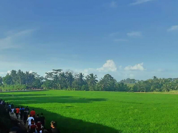 Alam wisata tracking