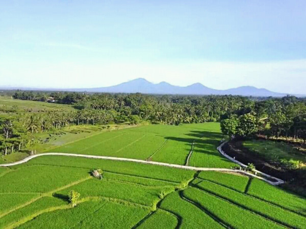 Keindahan alam desa Penarungan