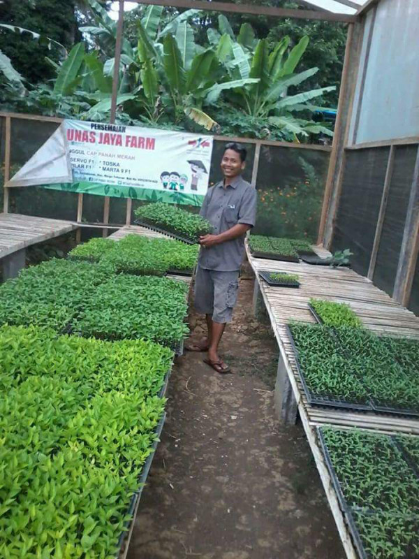 Pemberian bantuan bibit sayuran ke kelompok tani Br. Umahanyar