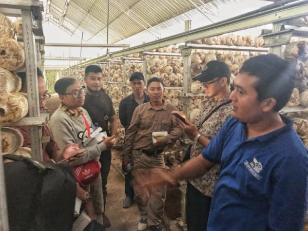 Dinas Pertanian Bandung berkunjung ke OKA JAMUR BALI