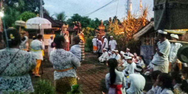 Sugihan Jawa di Pura Gunung Sari Desa Penarungan
