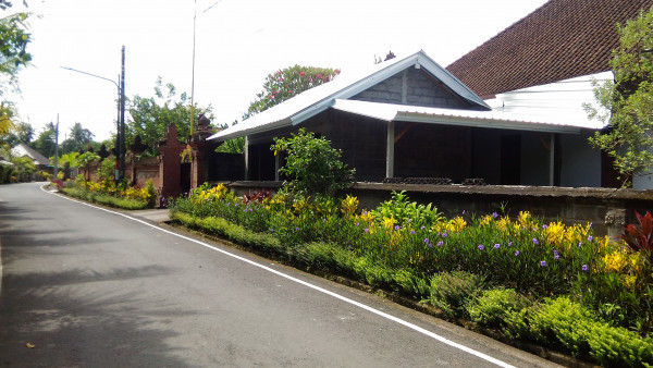 Penanaman tanaman hias di  telajakan 