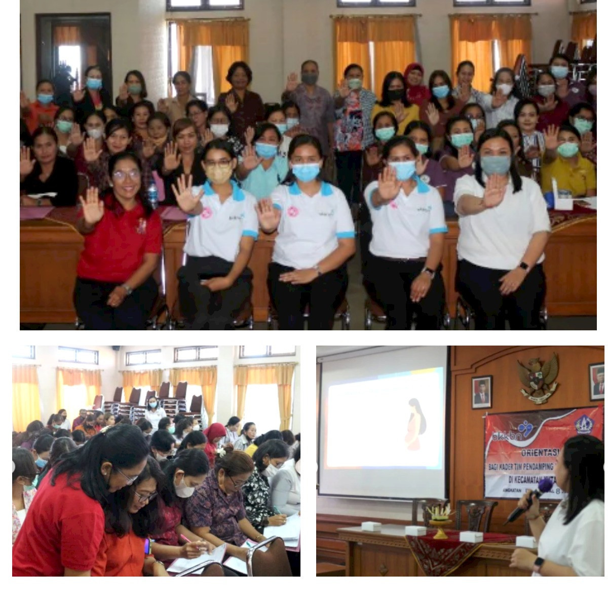 Orientasi bagi Kader Tim Pendamping Keluarga (TPK) se  Kecamatan Kuta Utara