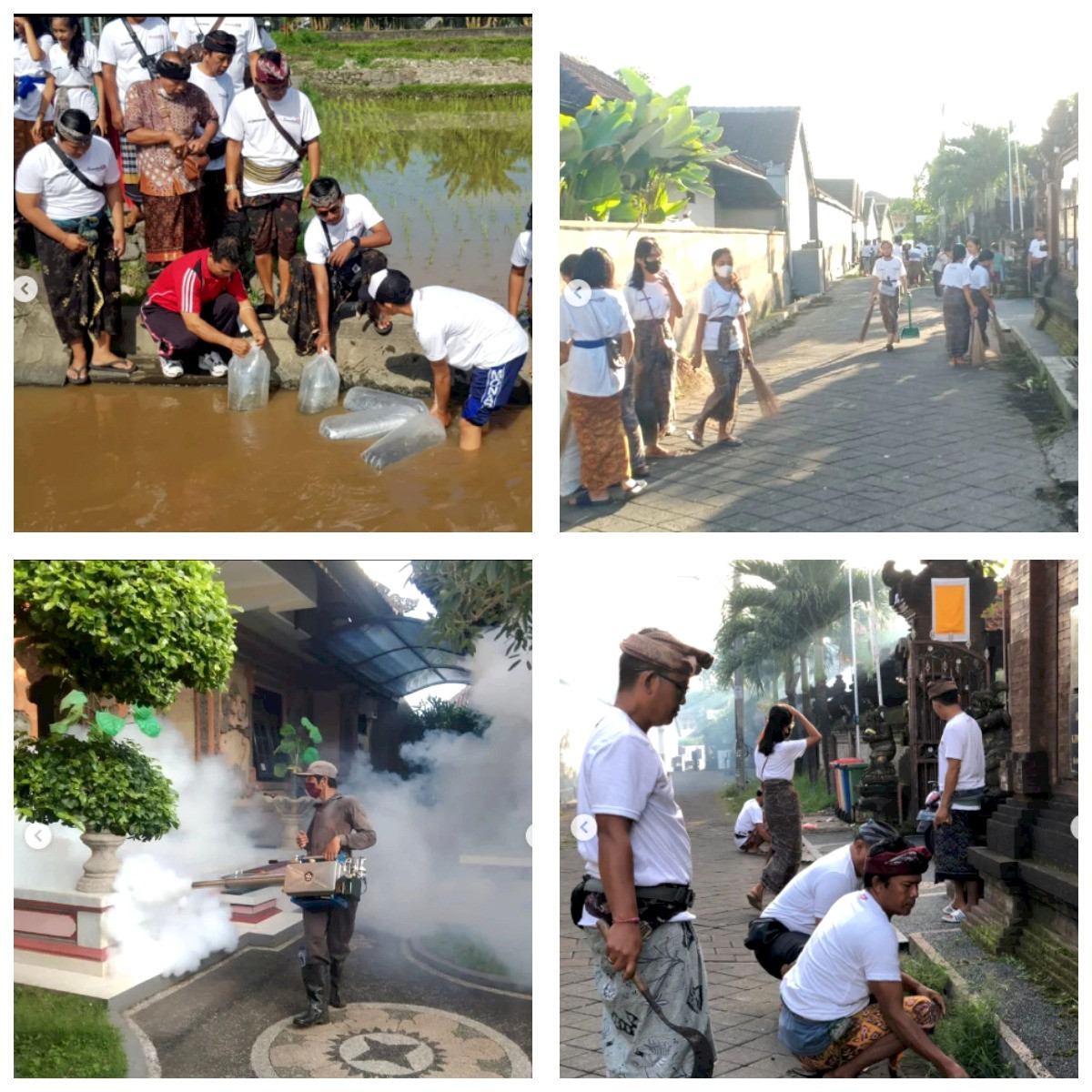 Kegiatan Germas (Gerakan Masyarakat Hidup Sehat) dan Penebaran Benih Ikan yang bertempat di Pura Dalem Tegal Dalung