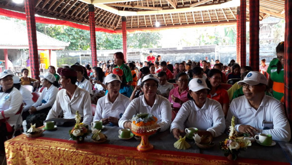 Tim penggerak PKK provinsi bali 