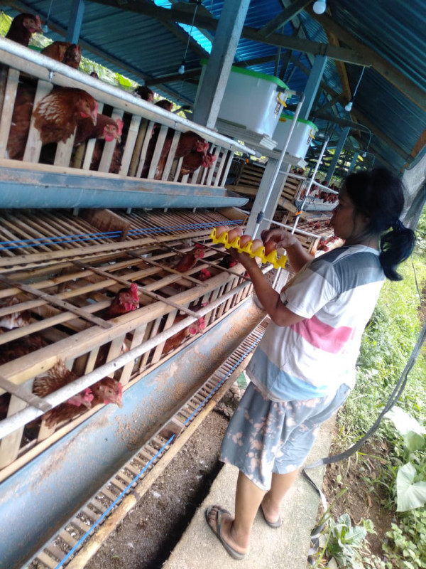 Gotong-Royong Pelebaran Jalan Menuju Kandang Ayam Petelur BUMDesa Tunjung Mekar
