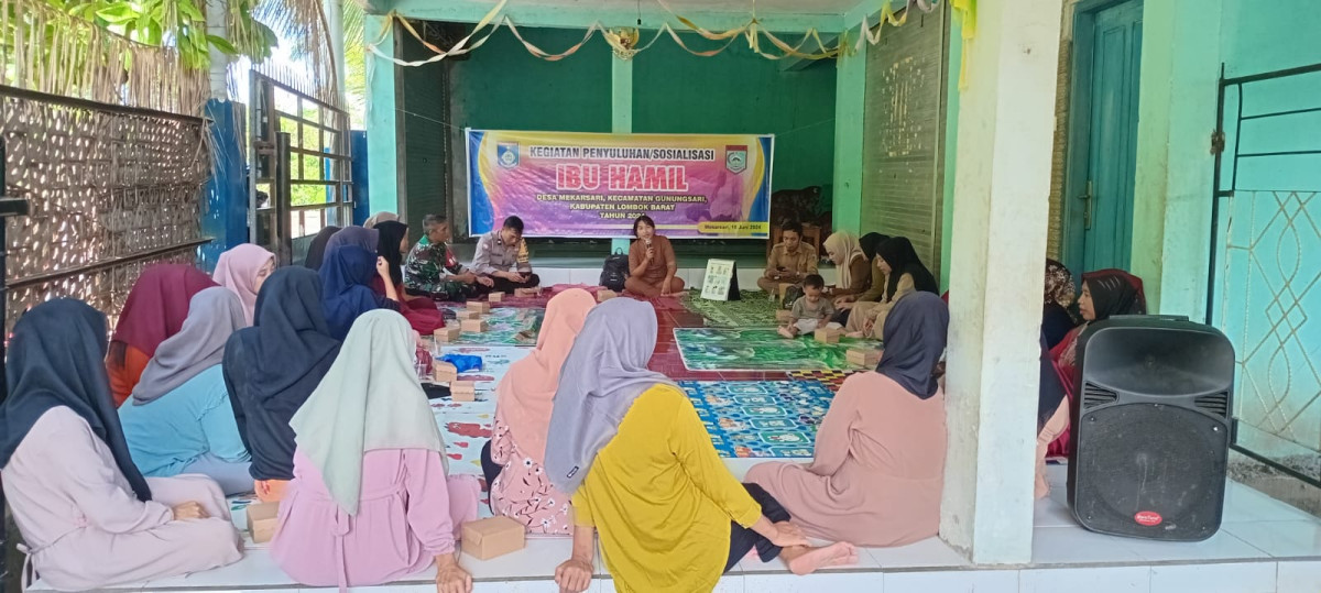 Penyuluhan dan Sosialisasi Ibu Hamil