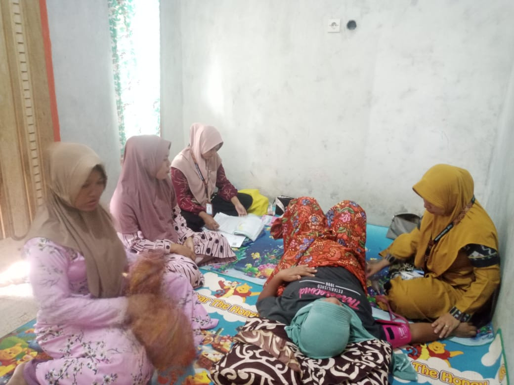 pemeriksaan ibu hamil