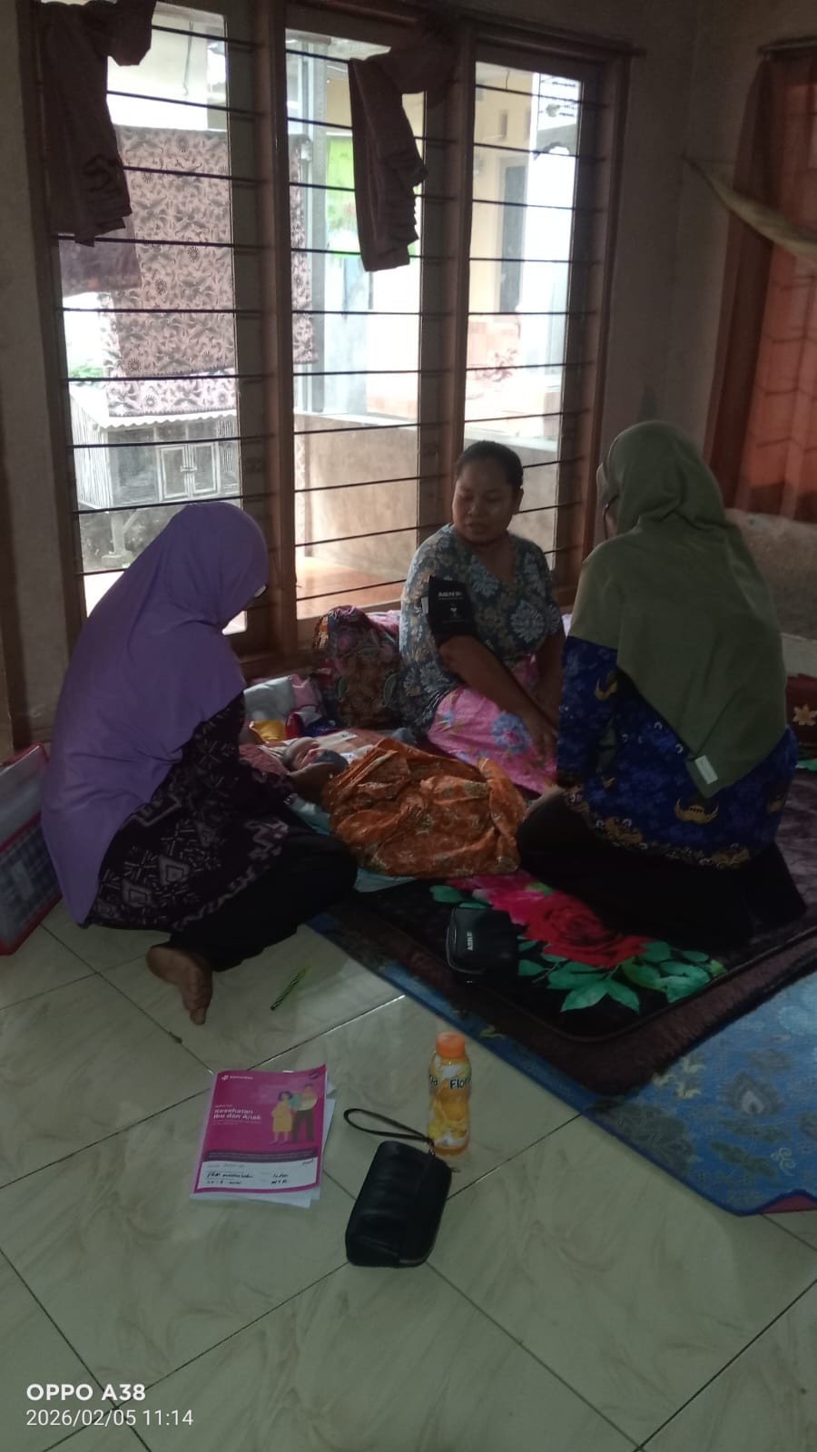 PENDAMPINGAN TPK  PADA IBU PASCASALIN