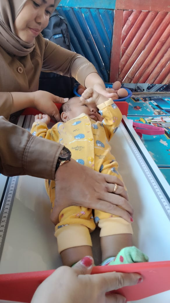 Pelaksanaan posyandu keluarga