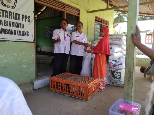 Penyerahan Bantuan Bibit Ternak Itik