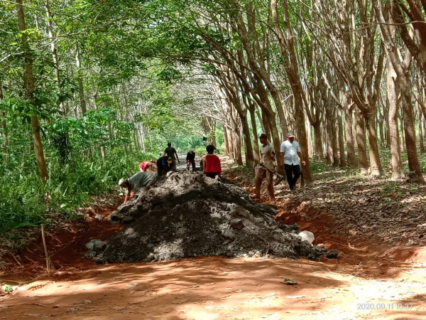 Pembuatan JUT di Rt 01 dan 07 desa bingkulu