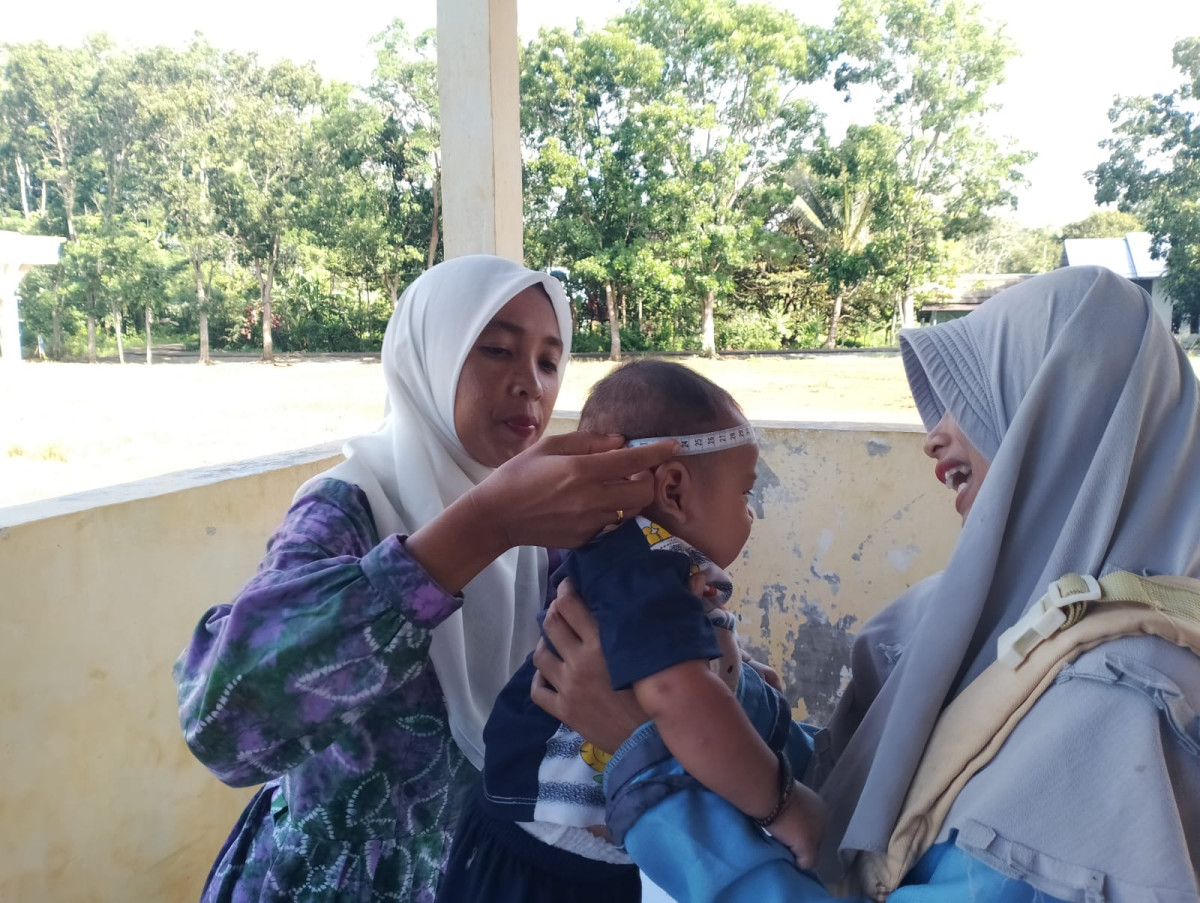 Kegiatan Posyandu Berseri Bersama Desa Bajuin
