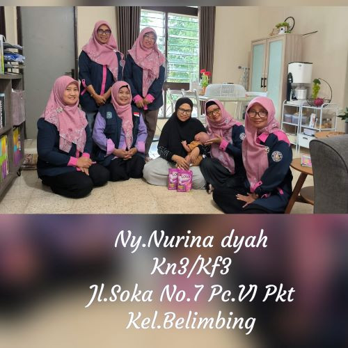 Home care Gerakan Sayang Ibu ( Busui dan Bumil)