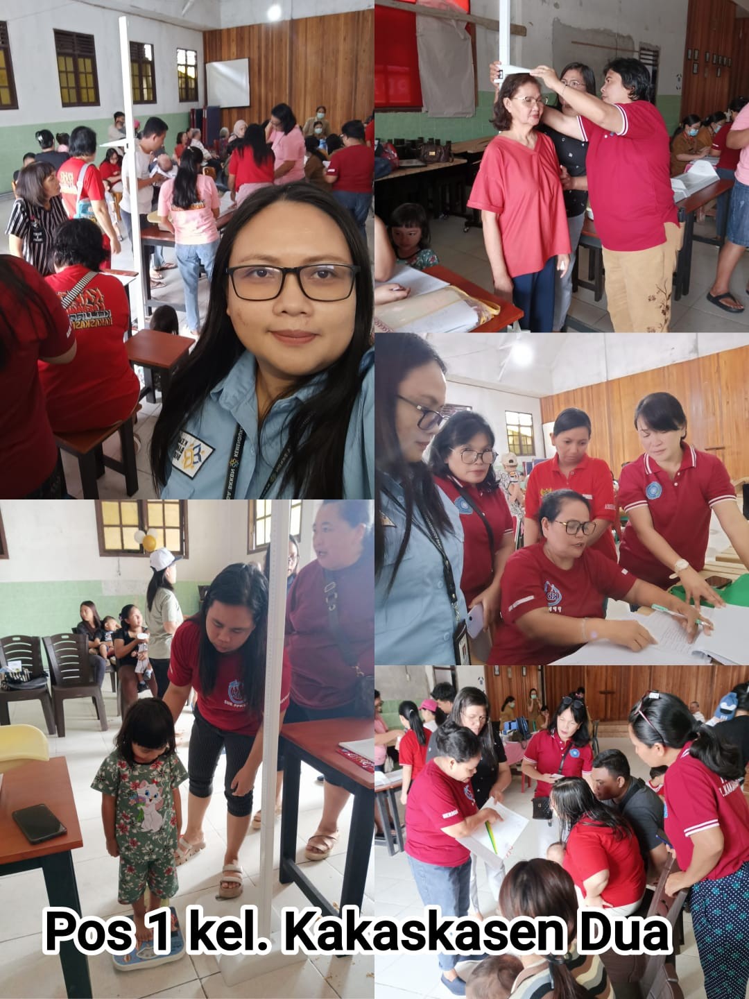 posyandu balita, ibu hamil, lansia