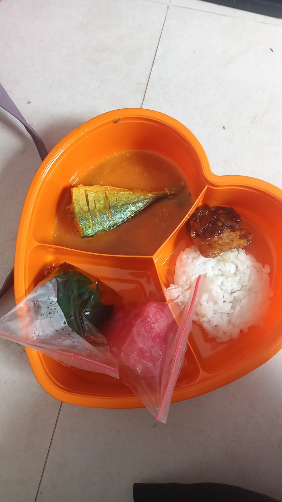 Pemberian makanan tambahan bagi anak gizi kurang dan Bumil KEK di Rumgiz ( Dashat)