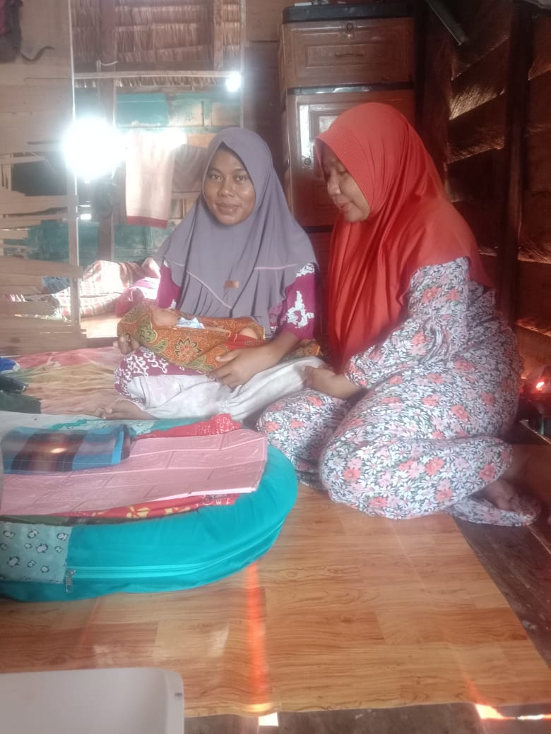 Pendampingan Pasca Salin