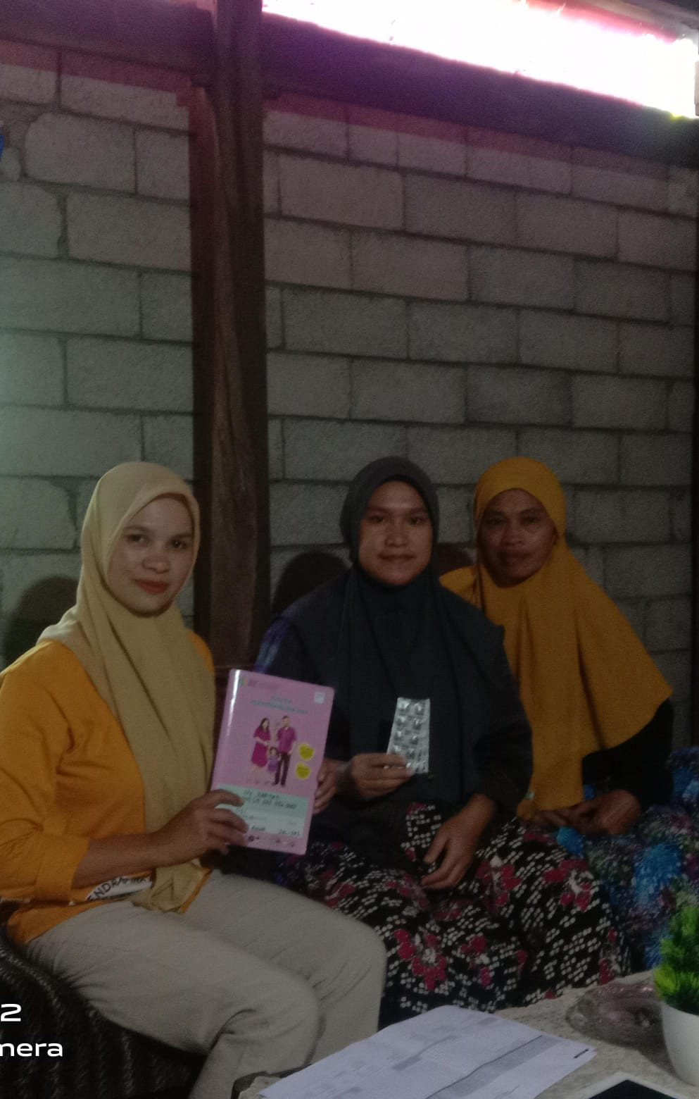 Pemberian tablet tambah darah bagi remaja putri dan ibu hamil