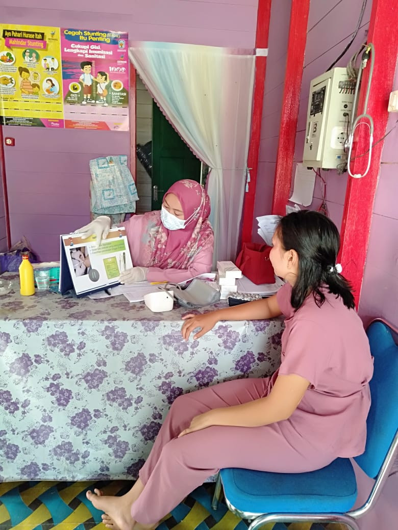 Pendampingan ibu hamil