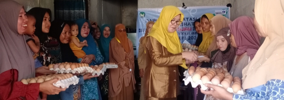 Pemberian bantuan telur pada sadaran dashat