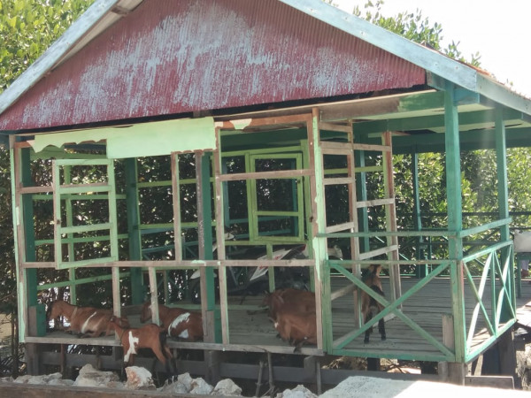 Lokasi Rumah Dataku