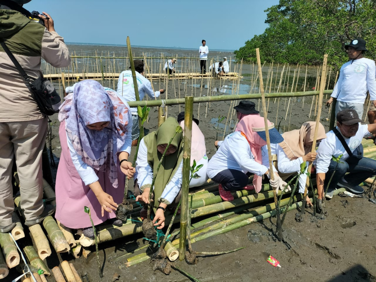 Penanaman Mangrove oleh BBPOM Makassar