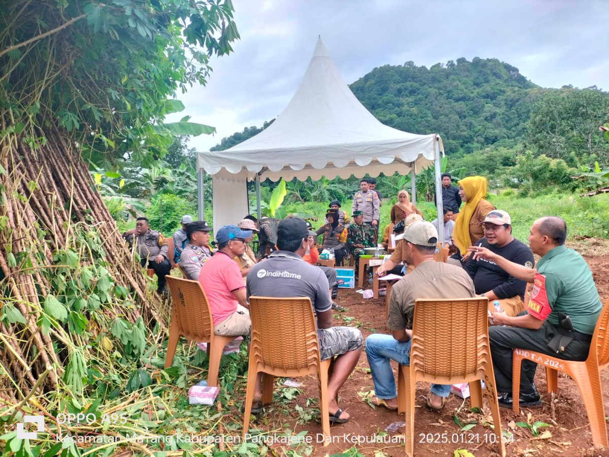 Penanaman jagun 1000 hektar