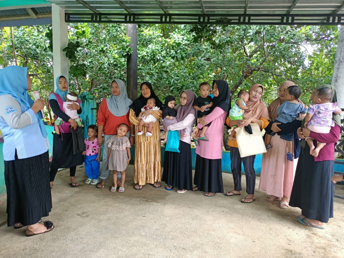 Melakukan penyuluhan tentang pemberian makanan dan aSI kepada bayi