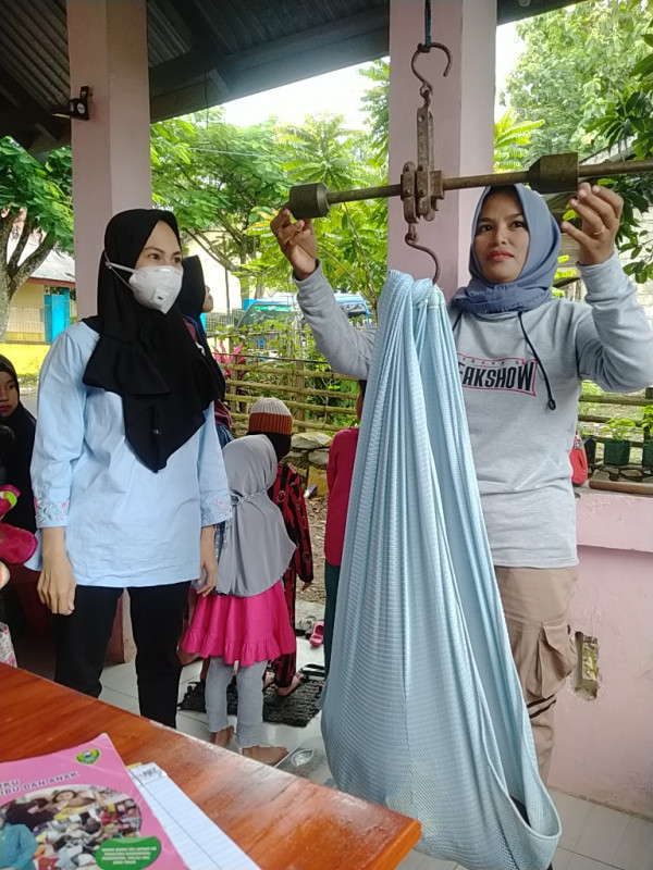 penimbangan balita di posyandu Cendrawasih di dusun Pao