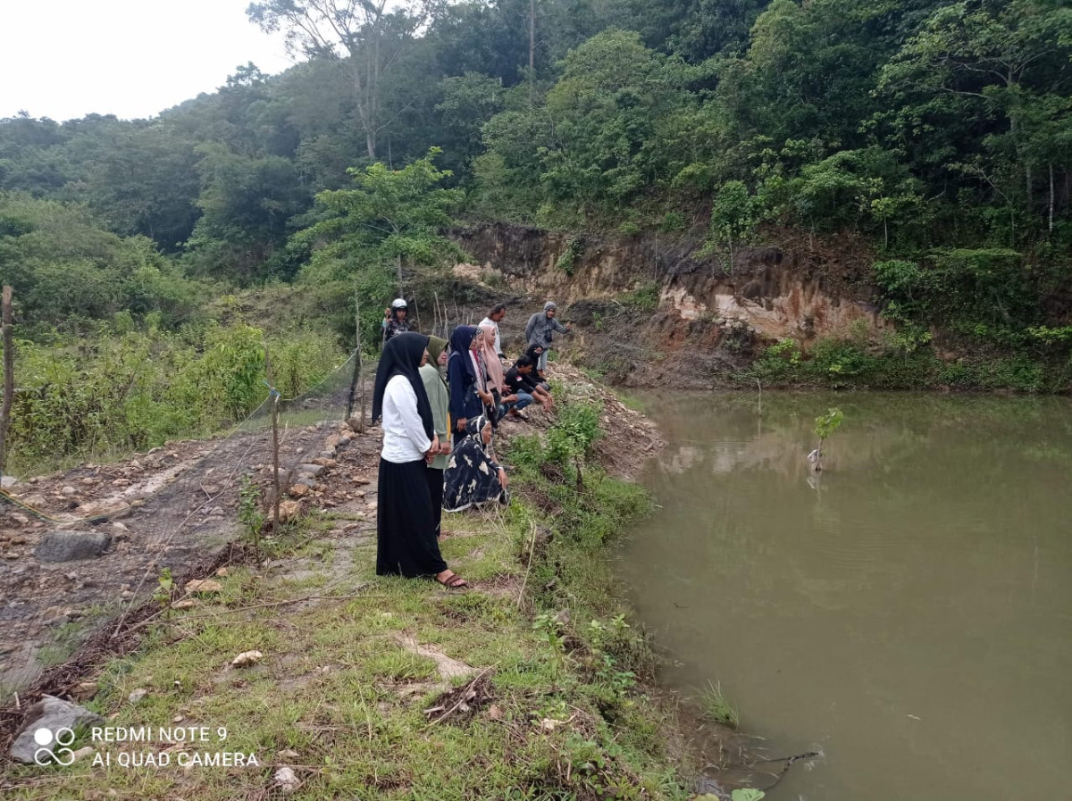 Kolam dengan 20000 bibit ikan
