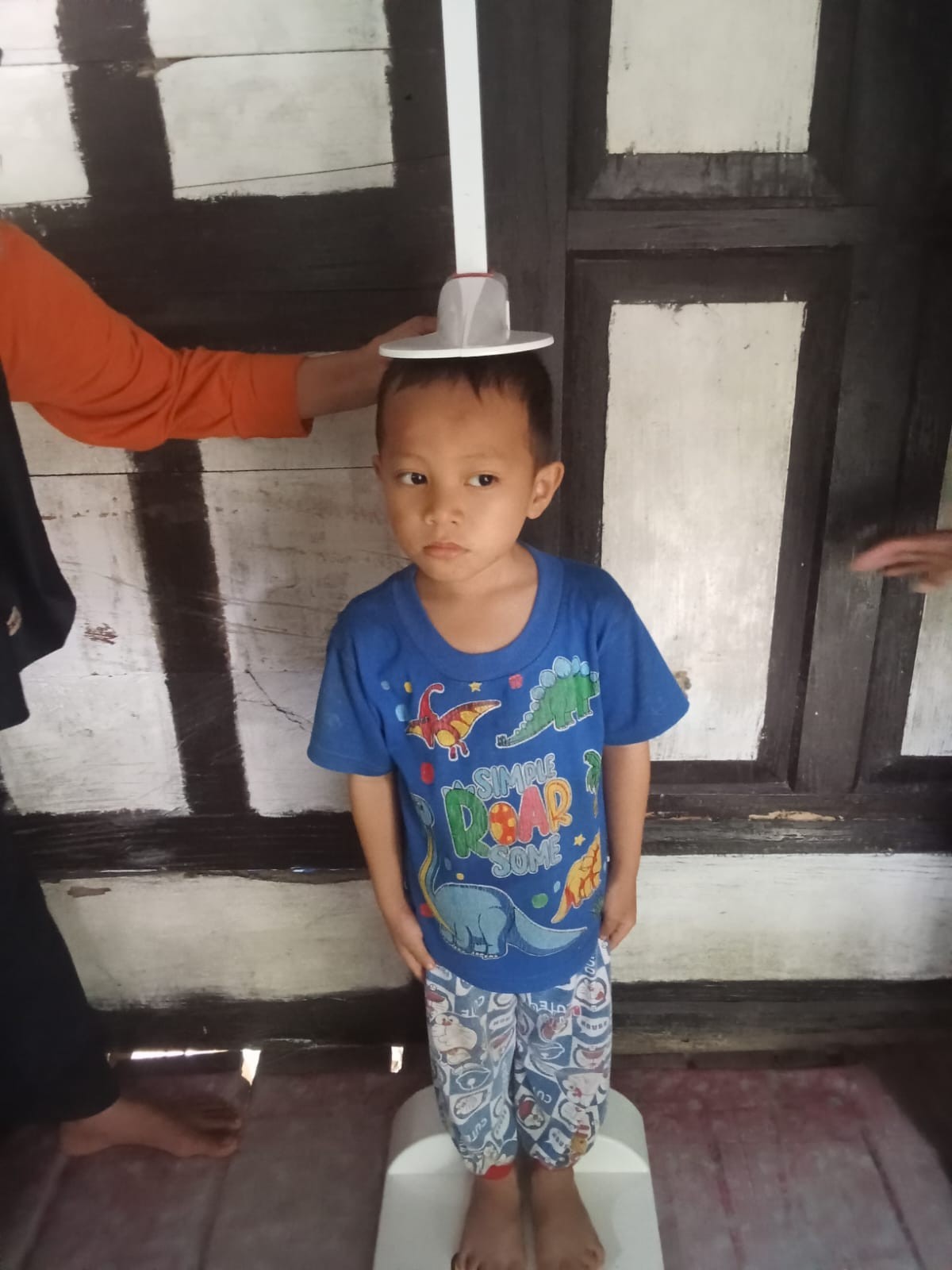 Pemantauan pertumbuhan Anak