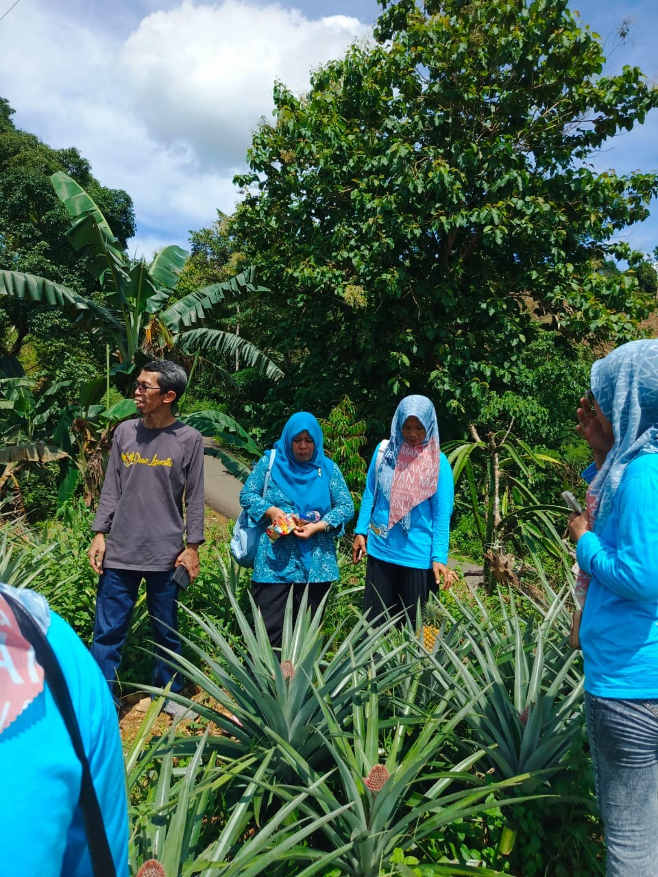 Kunjungan Ke Kebun wisata Nanas