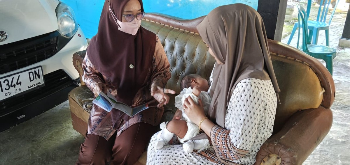 Kunjungan Rumah terhadap Pasca Salin