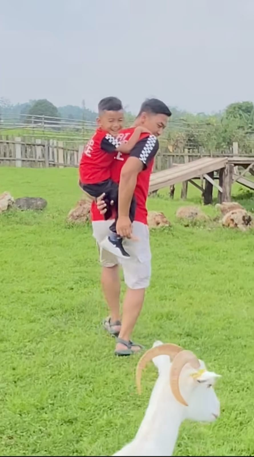 GERAKAN AYAH TELADAN,.