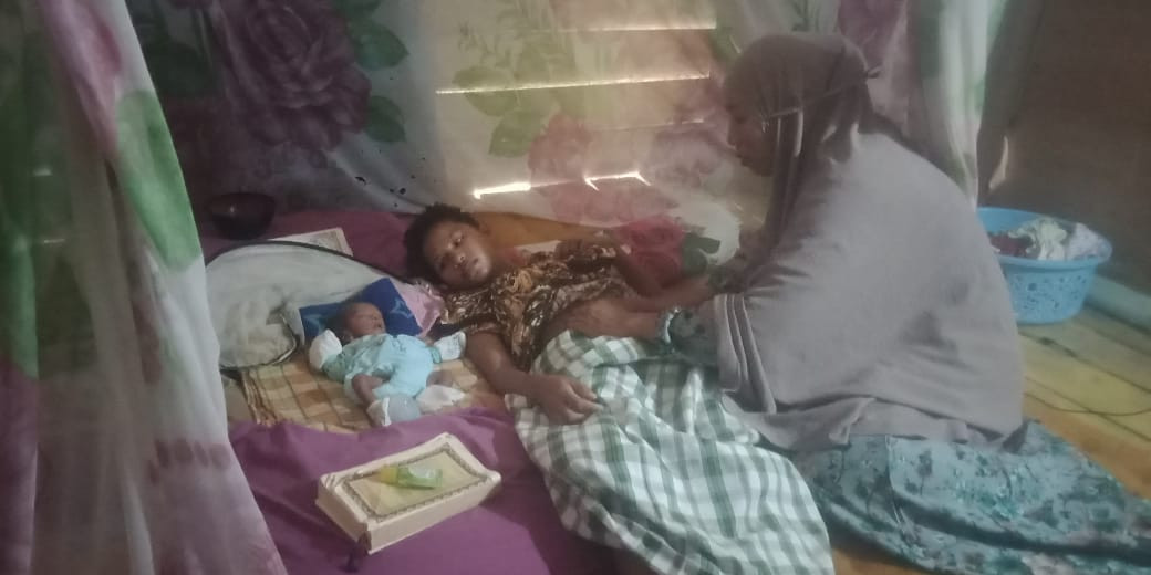 Pendampingan Ibu Pasca Salin