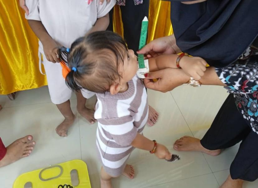 Posyandu Anggin Mamiri Desa Tokke
