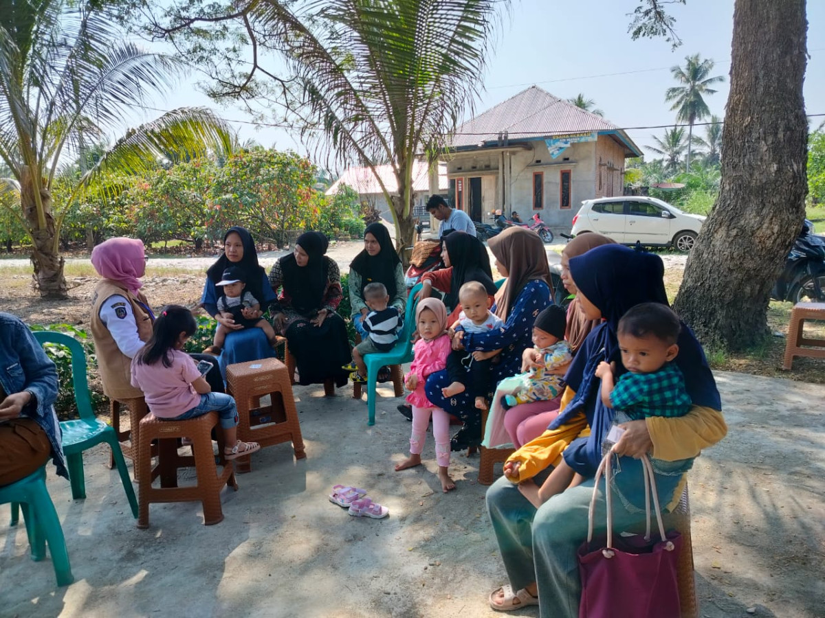 pembinaan kepada kelompok Bina Keluarga Balita ( BKB )