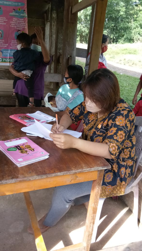 pemeriksaan ibu hamil 