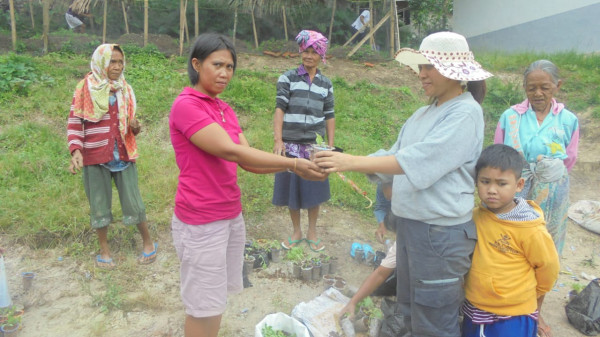 pembagian bibit sayur